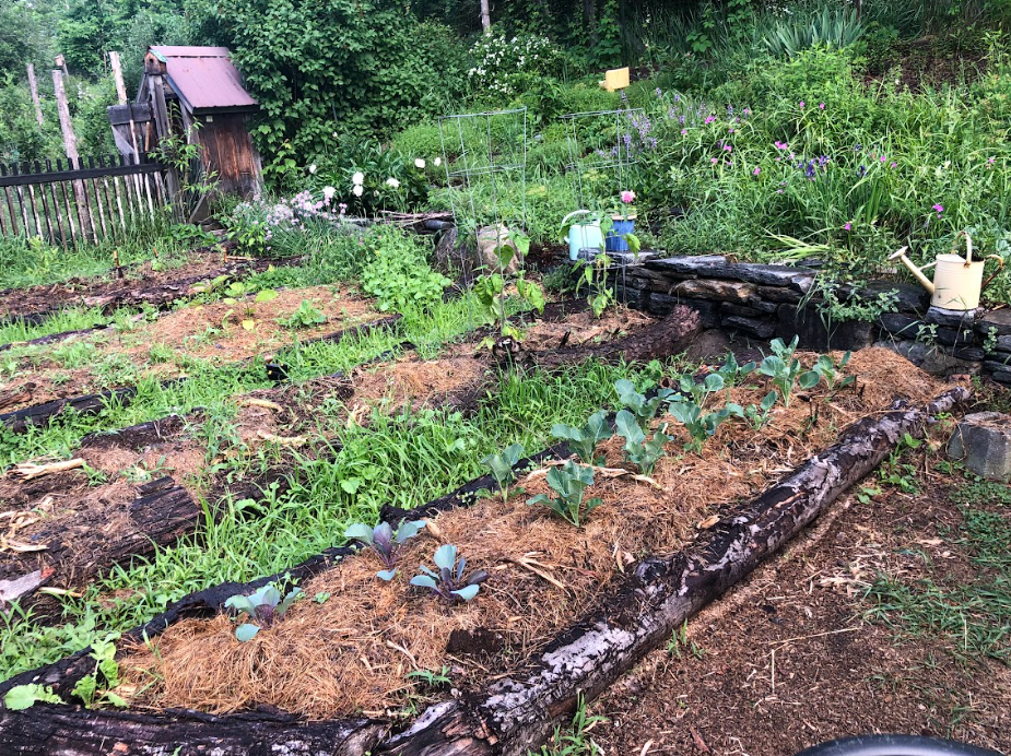 garden picture